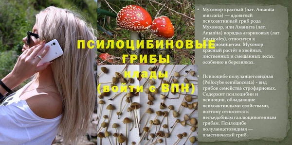 экстази Сатка