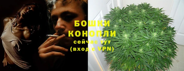 скорость Белокуриха