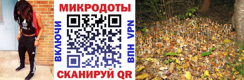 Галлюциногенные грибы MAGIC MUSHROOMS  Чухлома 